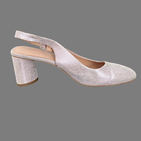 KK DODDS Genevieve - Peonia - Picture 8 of 13